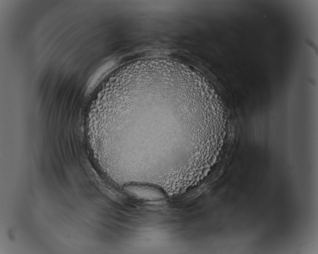 X0000103280053200809261236