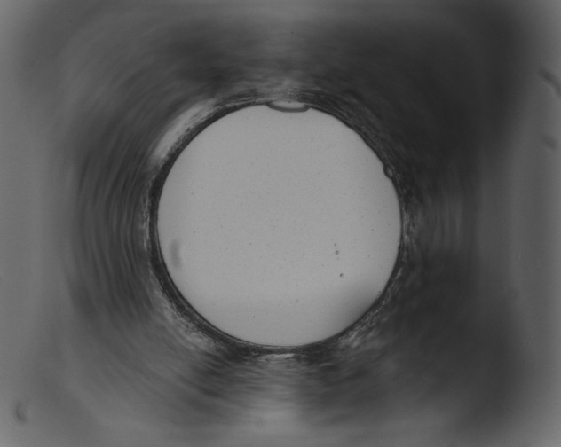 X0000103280054200809261236