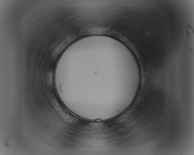 X0000103280057200809261236