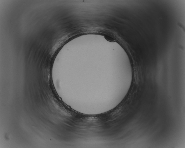 X0000103280059200809261236