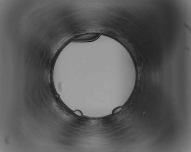 X0000103280060200809261236