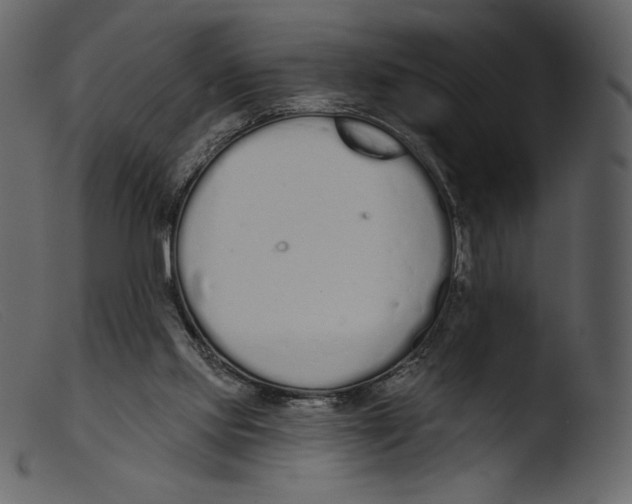 X0000103280061200809261236