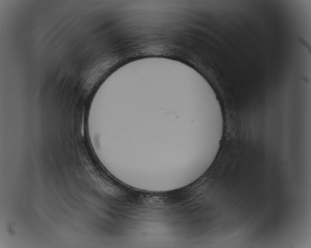 X0000103280062200809261236