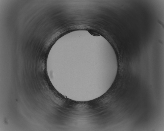 X0000103280063200809261236