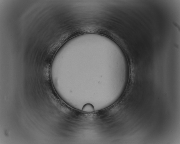 X0000103280065200809261236