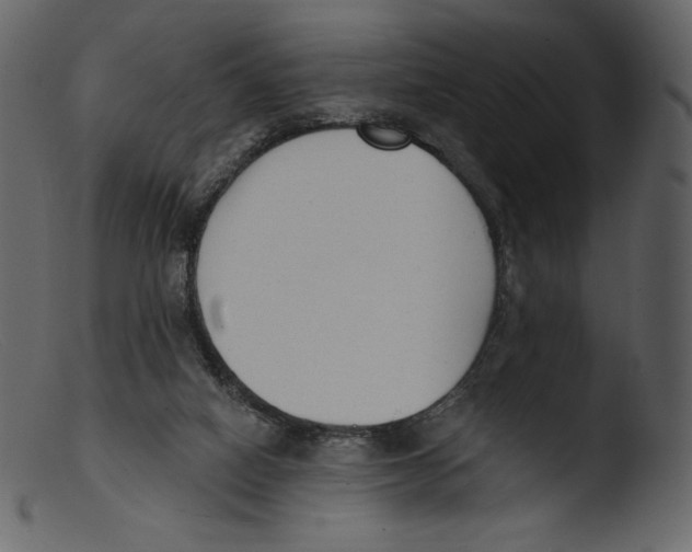 X0000103280066200809261236