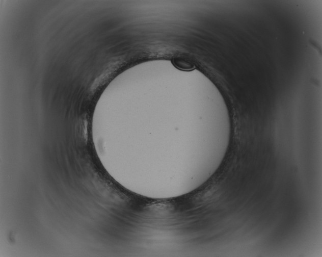 X0000103280067200809261236