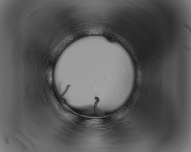 X0000103280069200809261236