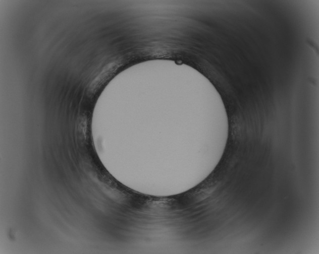 X0000103280072200809261236