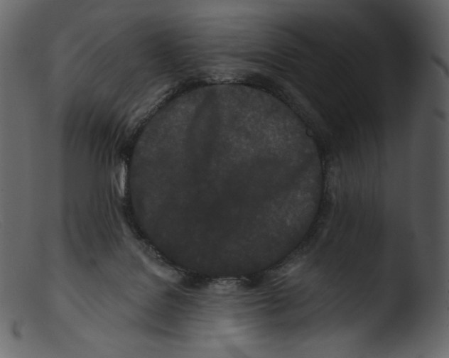 X0000103280076200809261236