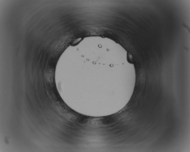 X0000103280078200809261236