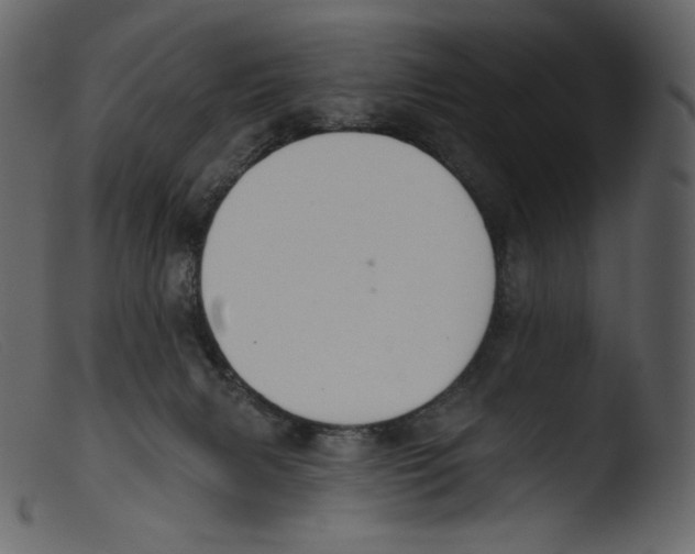 X0000103280079200809261236