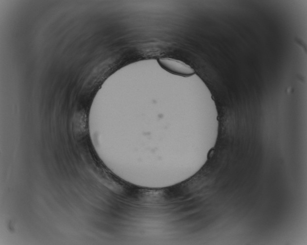 X0000103280081200809261236