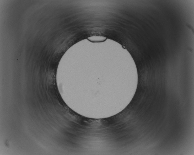 X0000103280083200809261236