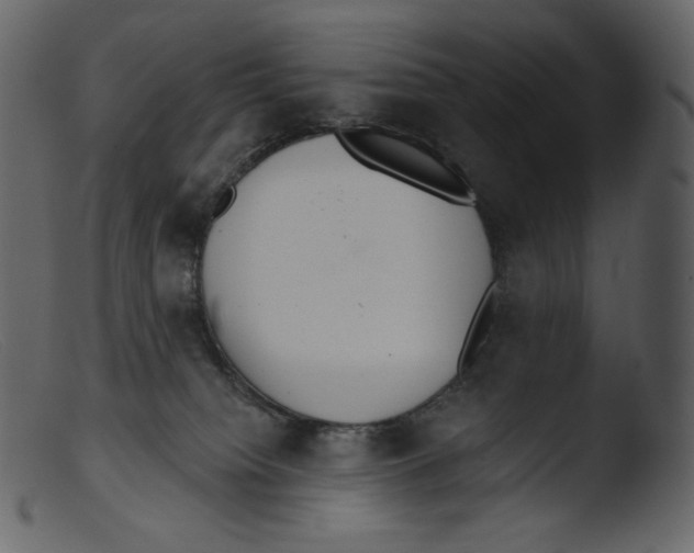 X0000103280084200809261236