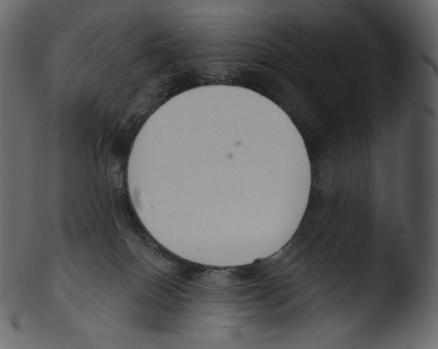 X0000103280086200809261236