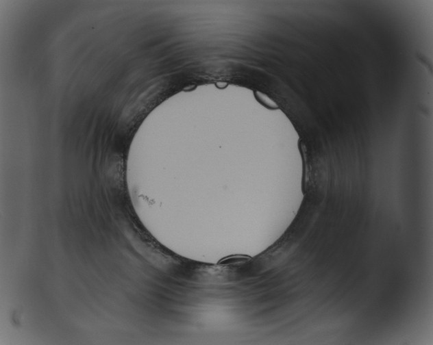 X0000103280092200809261236