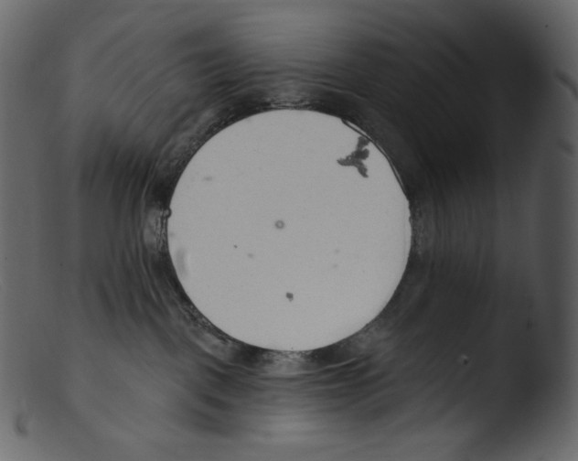 X0000103280093200809261236