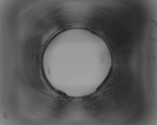 X0000103280097200809261236