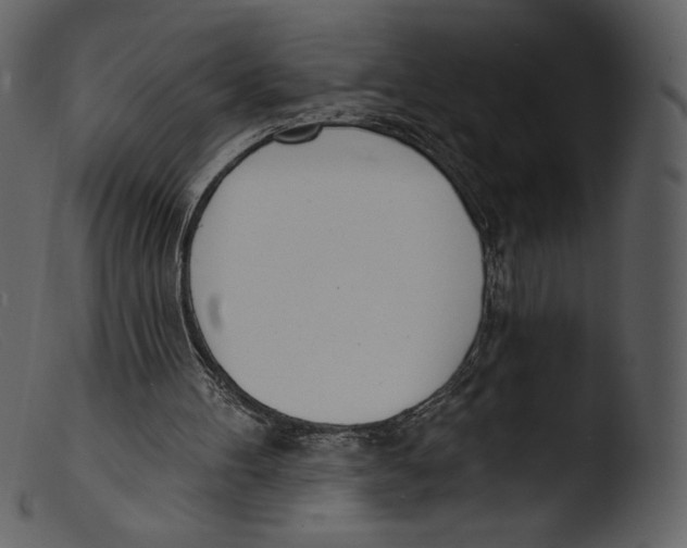 X0000103280100200809261236