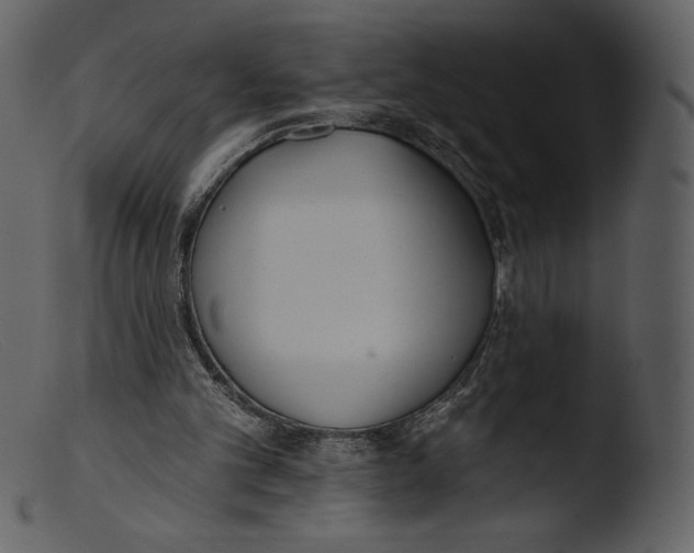 X0000103280101200809261236