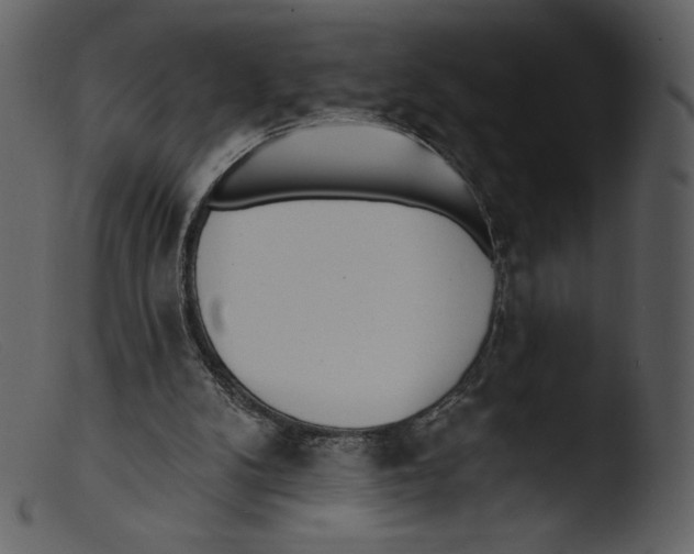 X0000103280104200809261235