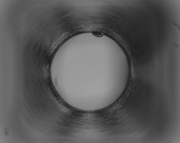 X0000103280105200809261235