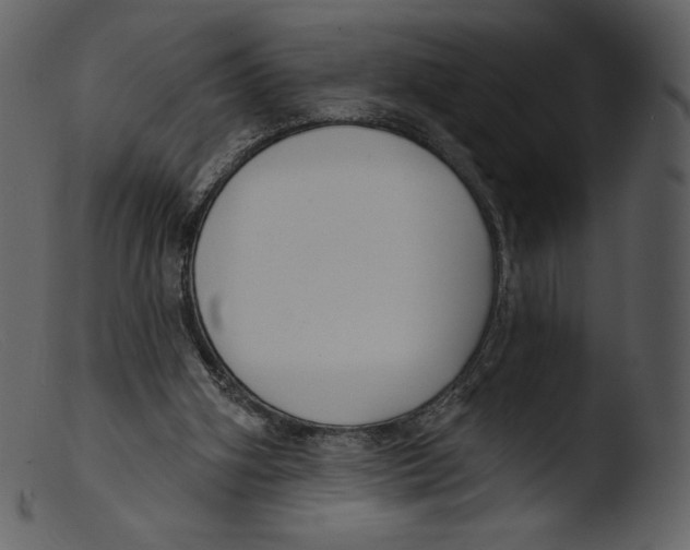 X0000103280106200809261235