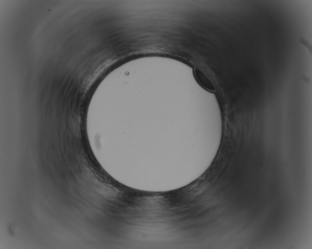 X0000103280108200809261235