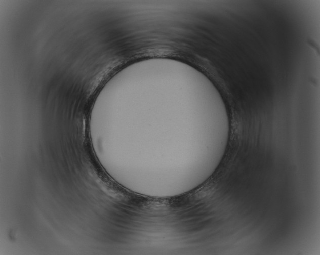 X0000103280110200809261235