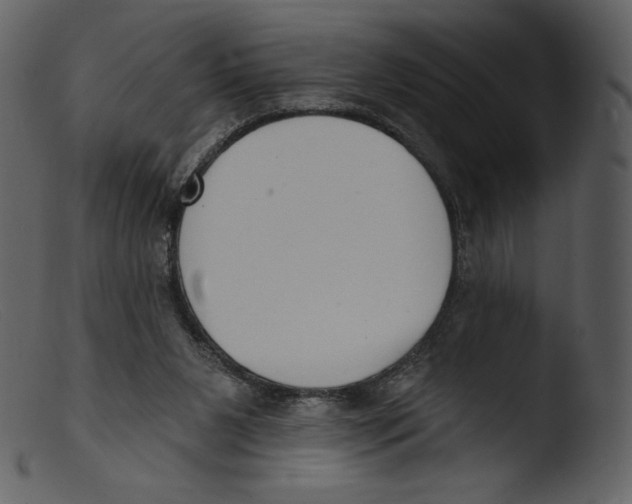 X0000103280111200809261235