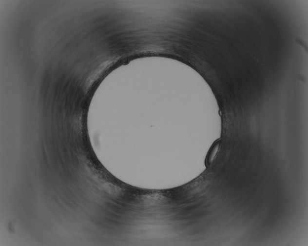 X0000103280112200809261235