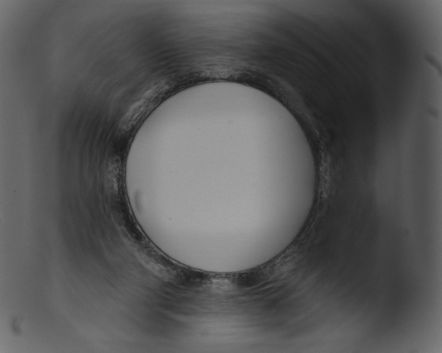 X0000103280114200809261235