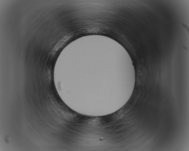 X0000103280116200809261235