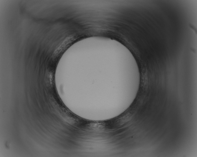 X0000103280117200809261235