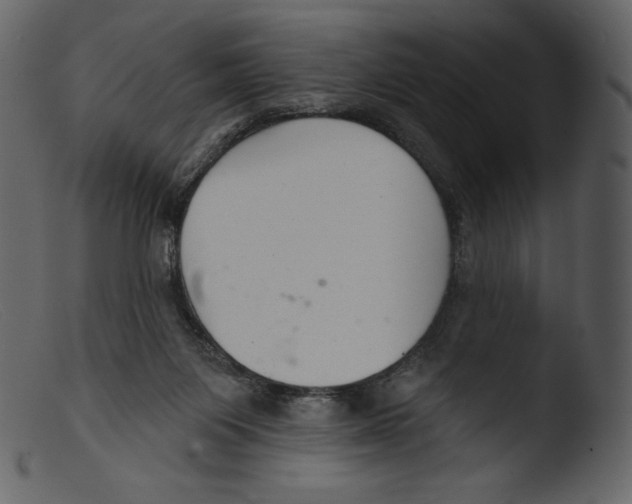 X0000103280119200809261235