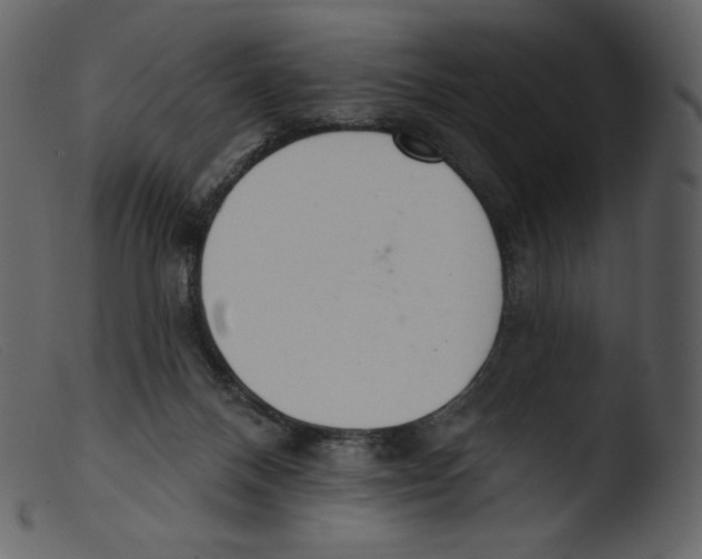 X0000103280120200809261235