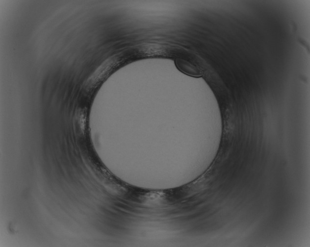 X0000103280124200809261235