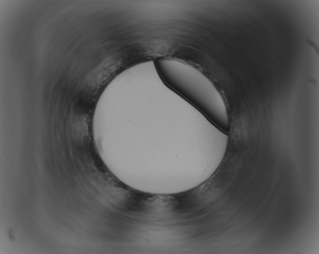 X0000103280128200809261235