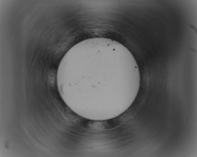 X0000103280129200809261235