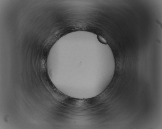 X0000103280130200809261235