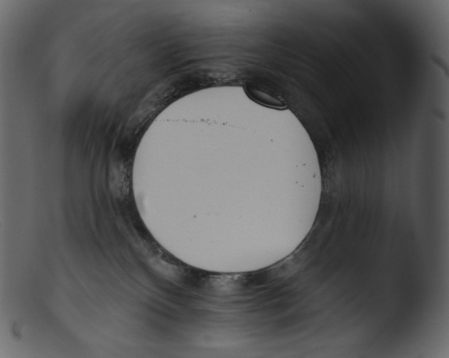 X0000103280136200809261235