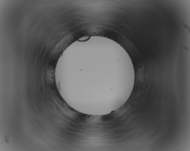 X0000103280138200809261235