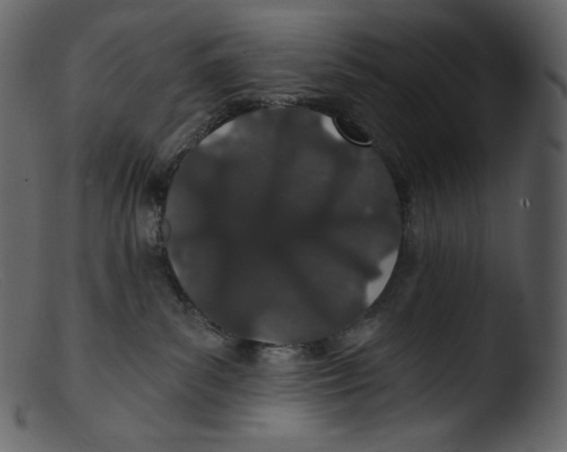 X0000103280139200809261235