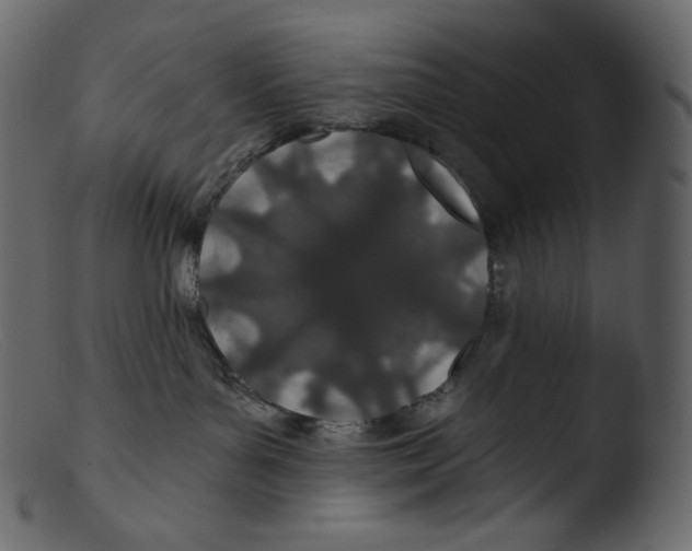 X0000103280143200809261235