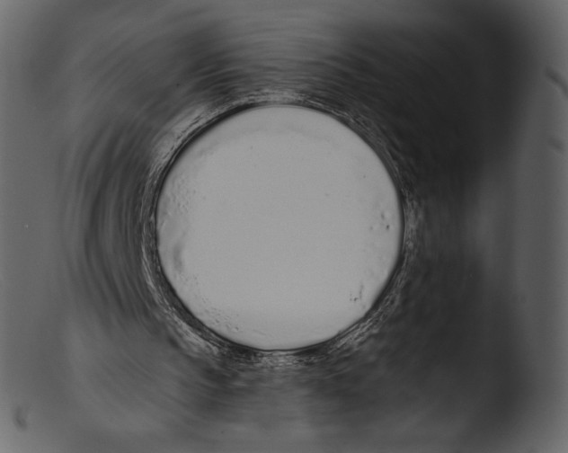 X0000103280145200809261234