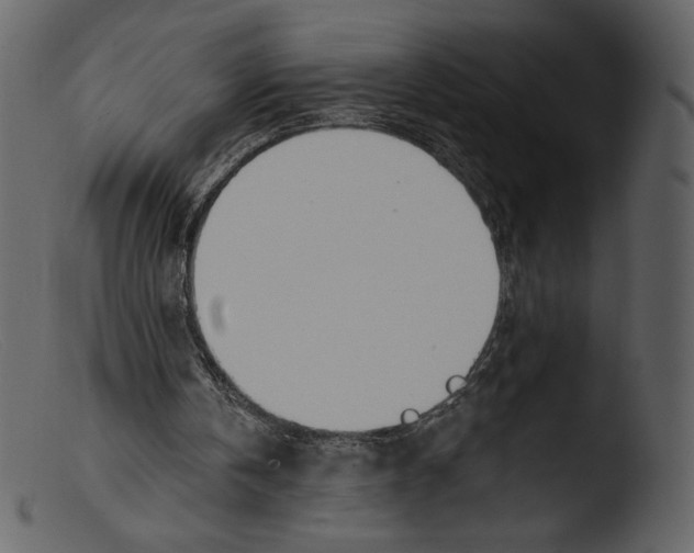 X0000103280146200809261234