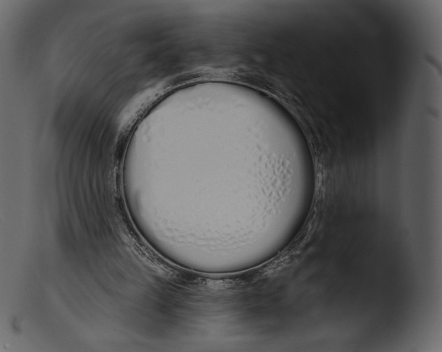 X0000103280149200809261234