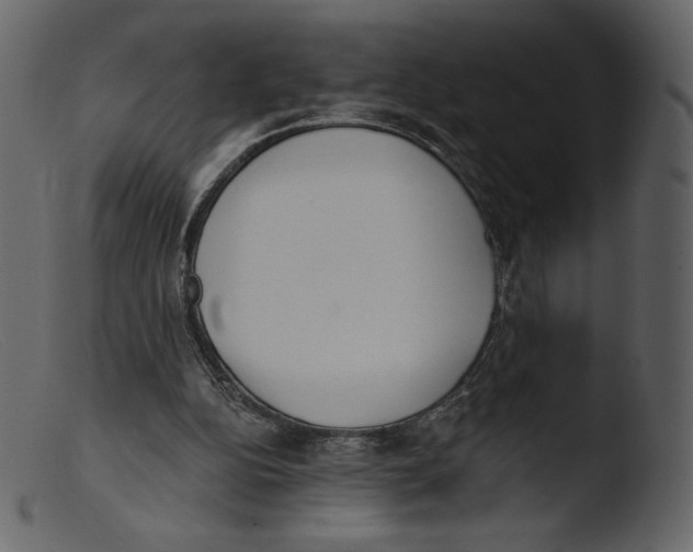 X0000103280152200809261234