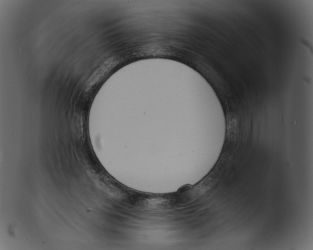 X0000103280158200809261234